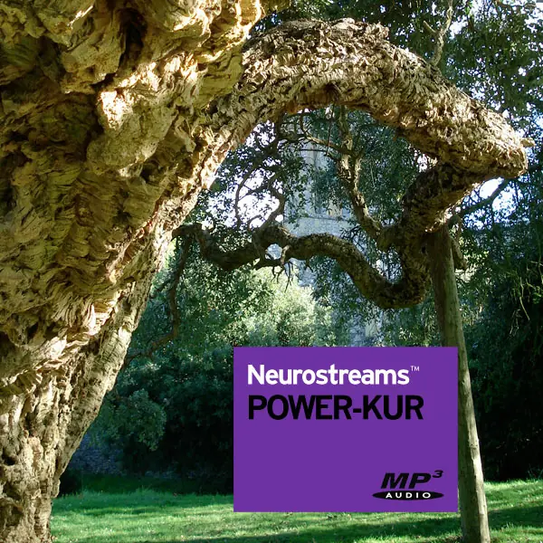 Neurostreams POWER-Kur