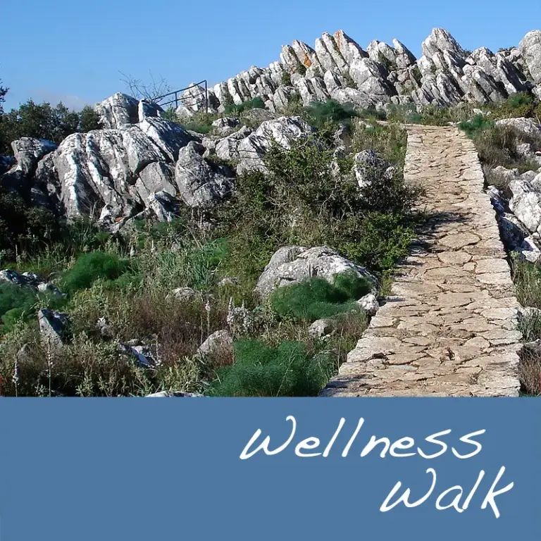 Neurostreams Wellness Walk